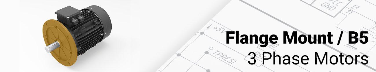 Flange Mount Motors - B5