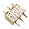 NH - GG Centered Tag Fuse 690VAC 315A | 170M3817D