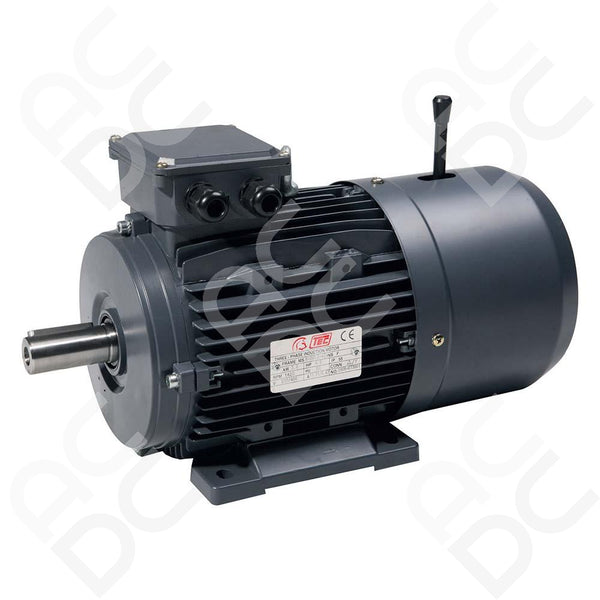 0.25KW Brake Motor - 2P - TEC (Select Mounting)