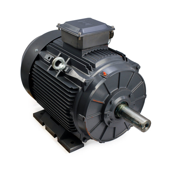 18.5kW Motor 2P 415V-690V IE3 160 Frame - Cast Iron - TEC - B3