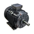 15kW Motor 4P 415V-690V IE3 160 Frame - Cast Iron - TEC - B3