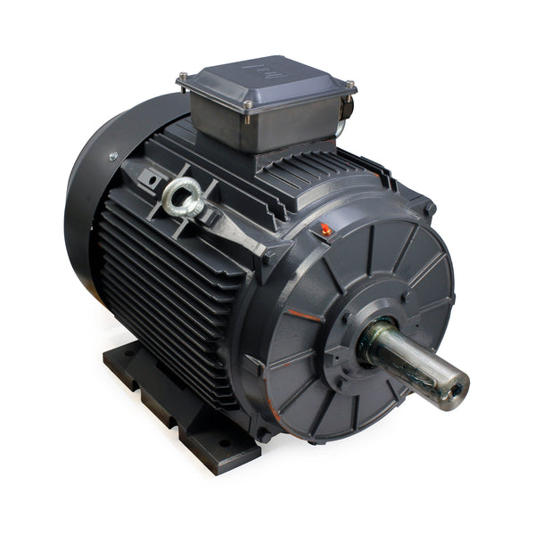 18.5kW Motor 6P 415V-690V IE3 200 Frame - Cast Iron - TEC - B3