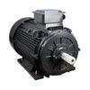 160kW Motor 2P 415V-690V IE4 315L1 Frame - Cast Iron - TEC - B3