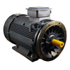 55kW Motor 4P 415V-690V IE3 250 Frame - Cast Iron - TEC - B35