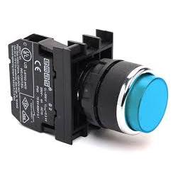 Extended Blue Push Button - B202HM - 22mm Diameter - 2 NC